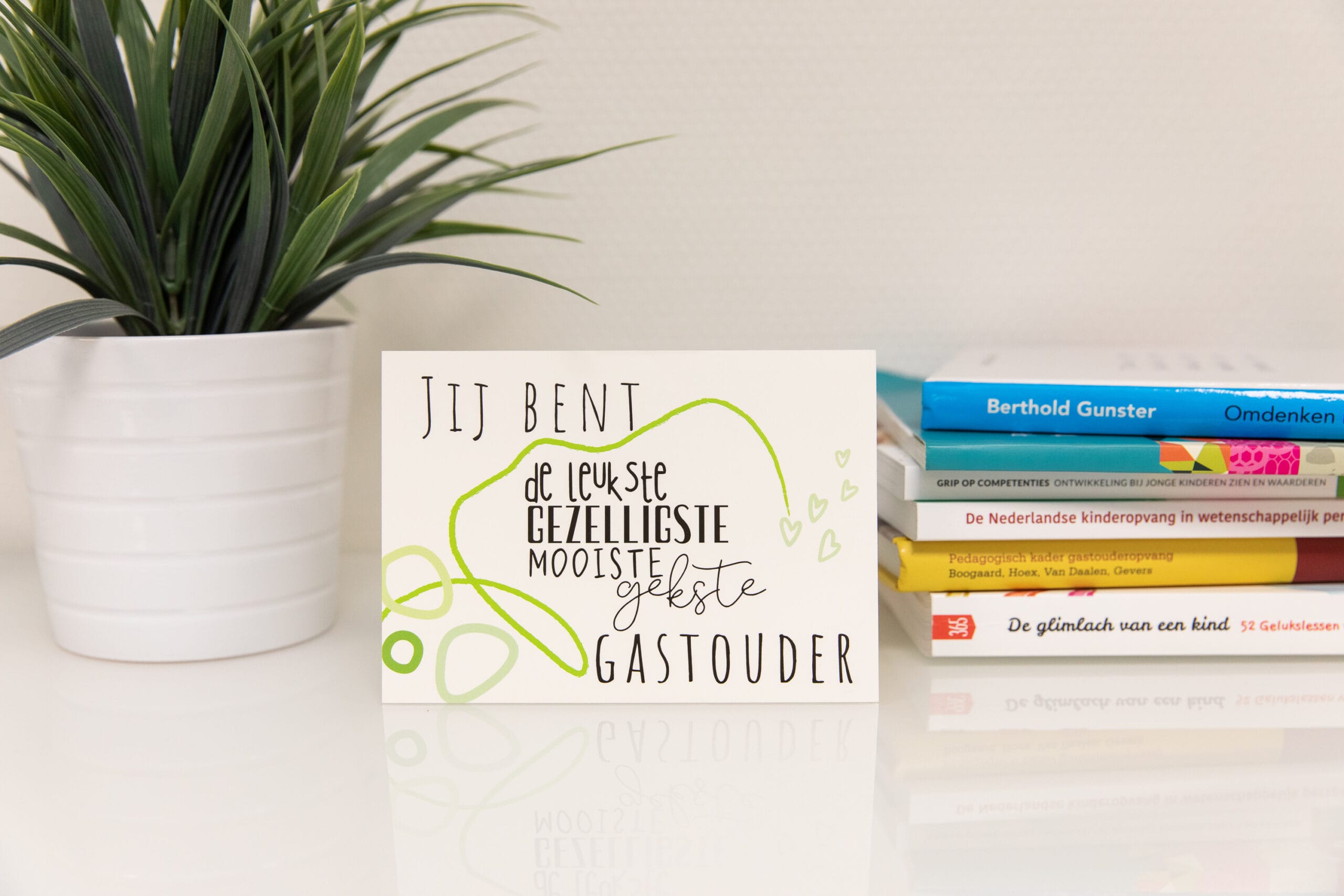 Meer aandacht en steun voor gastouderopvang in de politiek